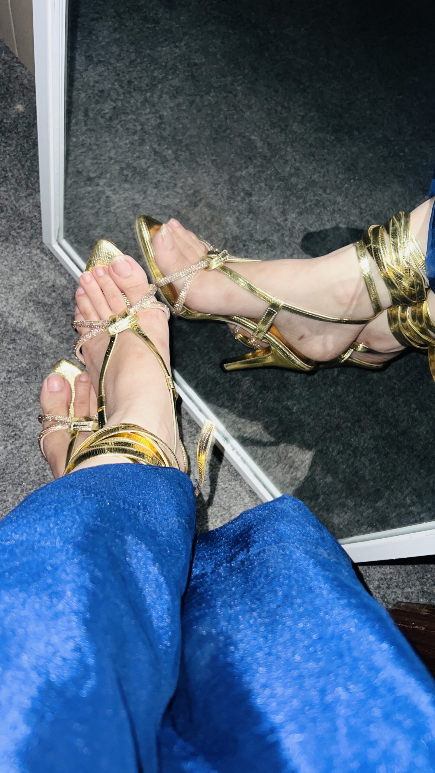 img 6139.jpg img 6139.jpg